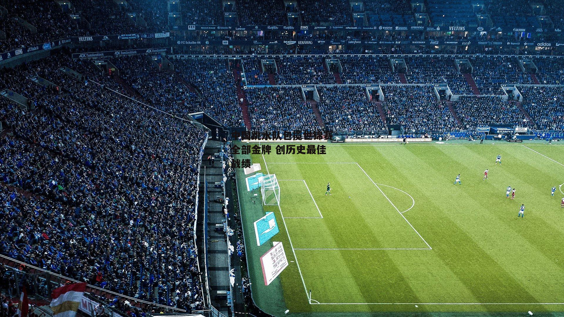 中国跳水队包揽世锦赛全部金牌 创历史最佳战绩