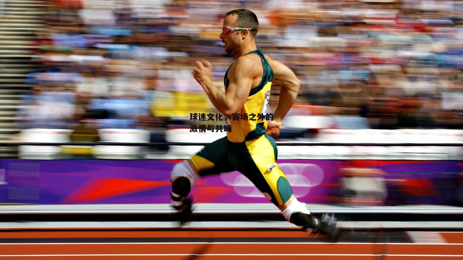 球迷文化，赛场之外的激情与共鸣