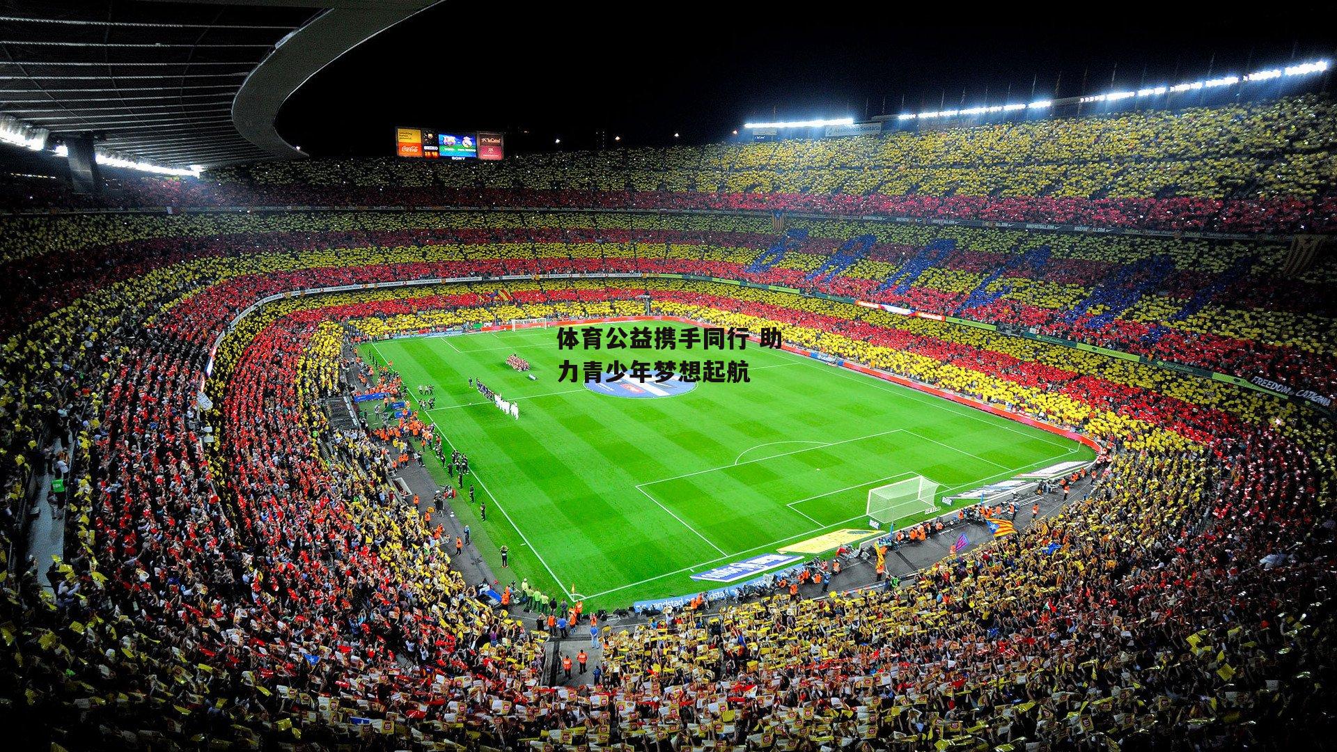 体育公益携手同行 助力青少年梦想起航